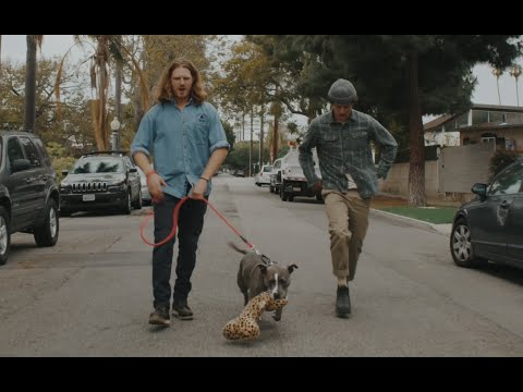 FRENSHIP - Hurricanes and Sugar Highs (Official Music Video)