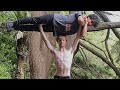 Human Overhead Lift And Shoulder Ride