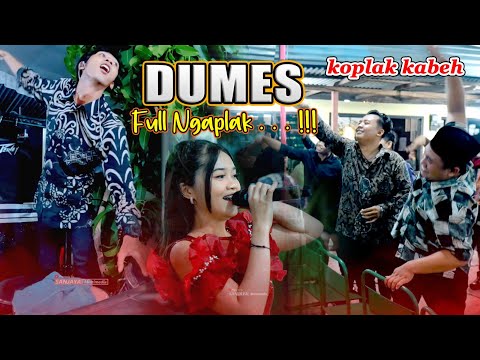 Full Ngaplak (Dumes) Dita Merlin KMB GEDRUG || AM PRO AUDIO - Live Wedding BISMA & DISTA