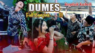 Download lagu Full Ngaplak (Dumes) Dita Merlin KMB GEDRUG || AM PRO AUDIO - Live Wedding BISMA & DISTA mp3