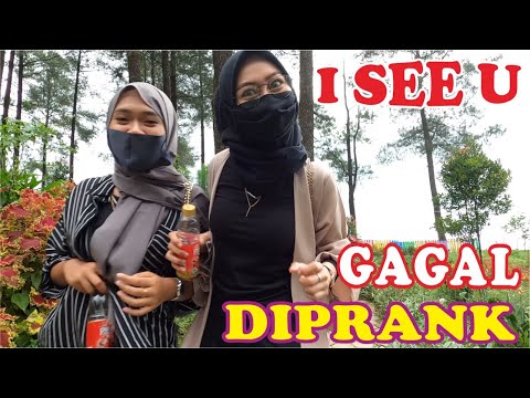 bushman-kembali-ke-hutan-prank-manusia-pohon-1