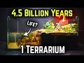 I Simulated Stages Of Evolution And Extinction Events