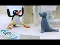 Pingu In The Snow Pingu Official Channel Cartoons For Kids