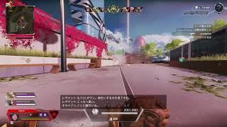 【Apex】アリーナ格付けチェック【ランク】