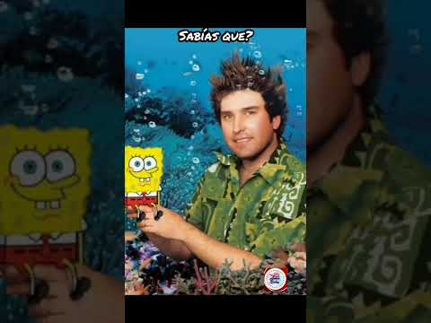 Por qué ignoraron todos los deseos del creador de bob esponja?