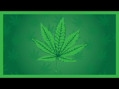 Cannabis indica - explicada
