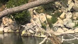 preview picture of video 'Discesa del fiume Brenta dalla loc. Friola di Pozzoleone VI a Carturo PD a bordo di un Voyager 500'