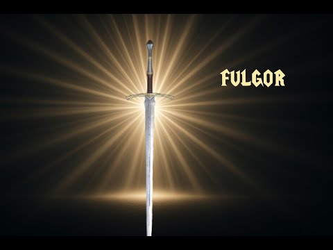 FULGOR FIGHTER