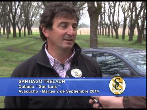 Cabaña El Ponoy - San Luis - Nota Santiago Trelaun - Ayacucho - 02/09/2014