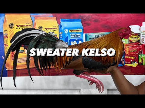 SWEATER KELSO | ORONCE BROTHERS