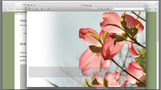 CSS Background Image Tutorial: Lecture 37, Web Design for Beginners Course
