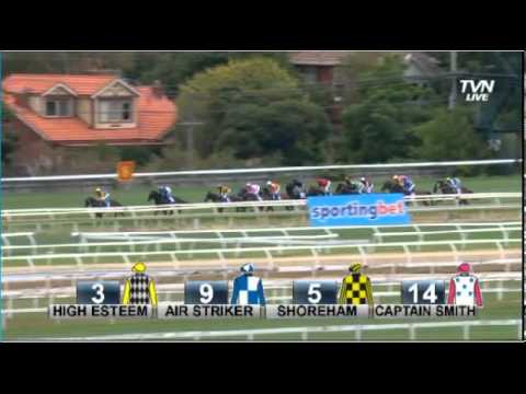 High Esteem Adelaide Guineas bound