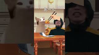 無痛分娩レポ① #shorts  #猫ミーム