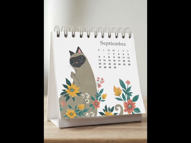 Vídeo relacionado con Finocam - Calendario de pared 2026 30x30 cm Mes Vista Enero - Diciembre 2026 + Sep.- Dic. 2025 (4 meses) reducidos | Calendario 2026 | Imágenes Charming - Internacional