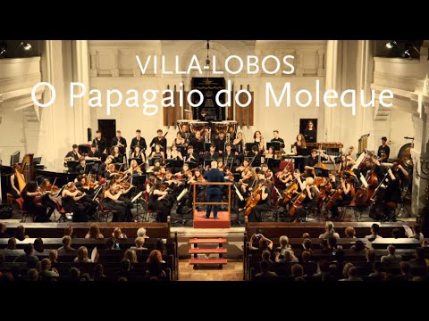O Papagaio do Moleque • Villa-Lobos • Western Balkans Youth Orchestra