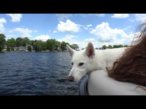 Original Crest Pontoon Parts and Accessories Online Catalog