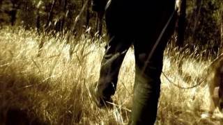 Hope Sandoval - Isn't It True (Unofficial)