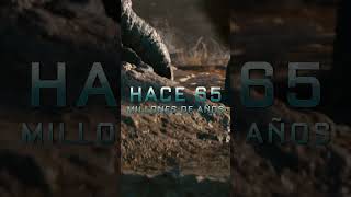 Una épica lucha por sobrevivir