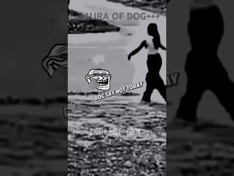 999+ AURA OF DOG || MOMENT BEFORE DISASTER || SIGMA RULE BOOK#aura#dog#accidents#trollface#shorts#yt
