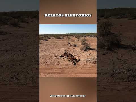 SENILLOSA NEUQUÉN POR LA MESETA EN BICICLETA
