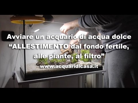 Vermi e lappetito aumentato Come si libererà da lyambliya del bambino