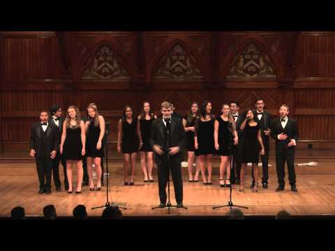 Shut Up And Dance (Walk the Moon) - The Harvard Opportunes