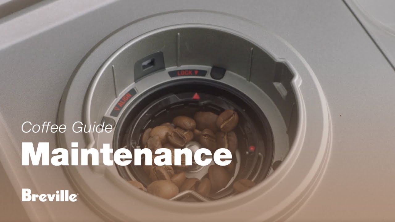 How to clean grinder conical burrs