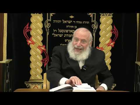 Using Non-Jewish Names | Weekly Shiur by Rav Asher Weiss Shlit"a (Shemos 5786)