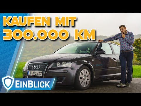 Audi A3 8P 1.9 TDI (2007) - PREMIUM auch nach 15 Jahren? DARAUF müsst Ihr beim Kauf achten!