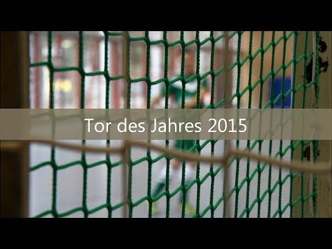 Tor des Jahres 2015