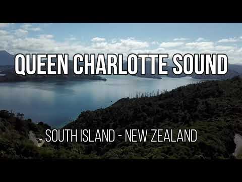 Queen Charlotte Sound - South Island - New Zealand