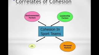Ch 8 Group Cohesion