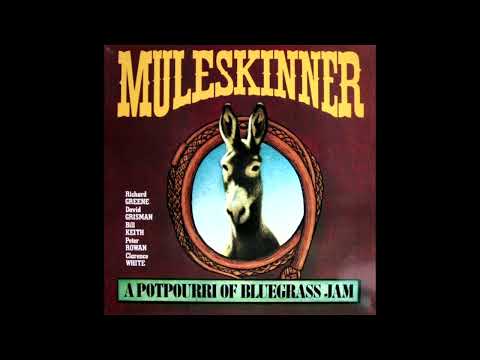 Muleskinner - A Potpourri Of Bluegrass Jam [1974] - Muleskinner
