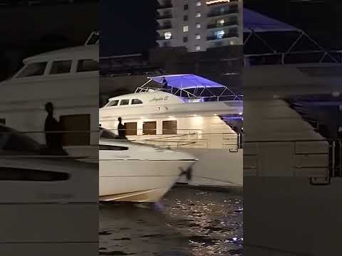 Miami Live Short Video #4513