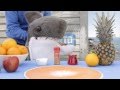 Cinnamon Oranges Ed Shark S Chiringuito 1