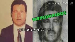 El Borrego - Los Tucanes de Tijuana🌲