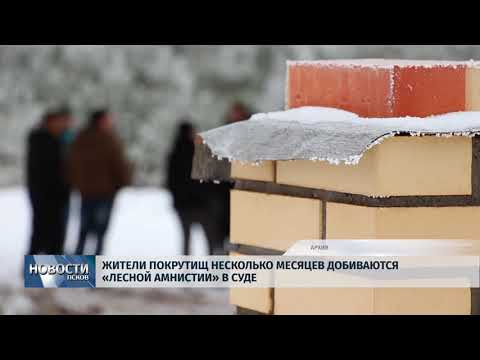 13.03.2018 # Жители Покрутищ несколько месяцев добиваются "лесной амнистии" в суде