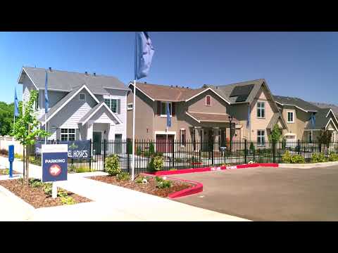 Builder Videos 1 Out of 4