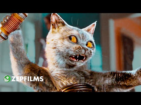 The production of CATS AND DOGS was INSANE