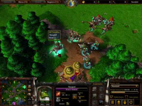 Warcraft 3 TFT ESWC 2005 4K. Grubby vs 4K. FoV part 2/3 game 2