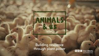 Building resilience through plant power | Animals & Us | BBCStoryWorks