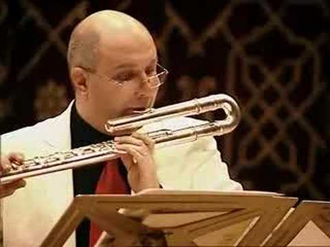 @ionbogdanstefanescu  Violeta Dinescu, Circuit I