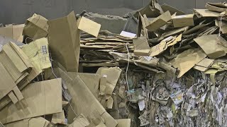 What Happens To All The Cardboard Packages We Recycle?