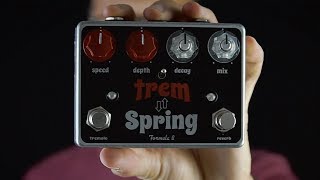 Video thumbnail for Riverbero e tremolo in scatola: Formula B Trem-Spring by accordoTV