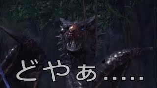 ［MHWIB］実況プレイ 24