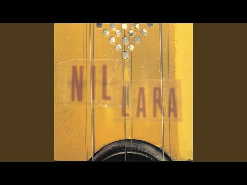 Fighting for My Love - Nil Lara