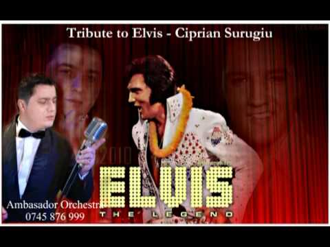 Ambasador Orchestra - Suspicious minds 2011