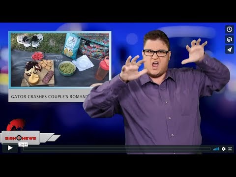 Gator crashes couple's romantic picnic (ASL - 6.5.19)