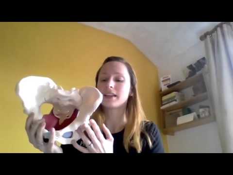 How to protect your pelvic floor after childbirth and post menopause