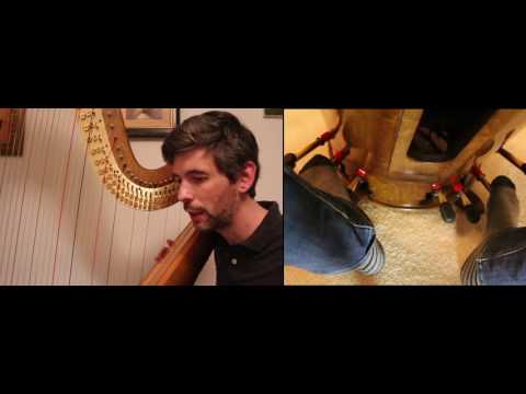 Pedal slides (extended harp technique) - Harp Tuesday ep. 108